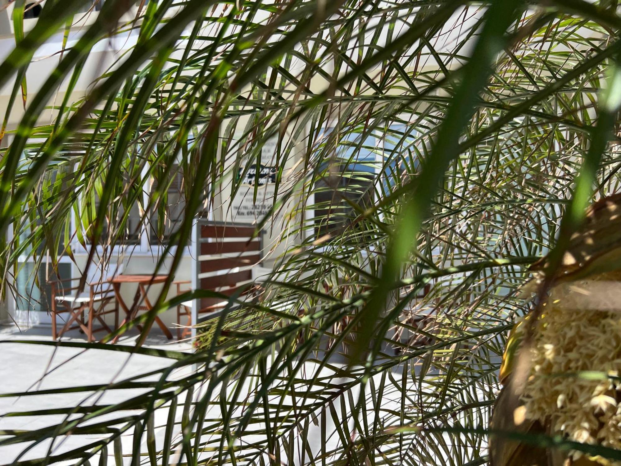 Artemis Rooms Two Steps By The Sea ปลาเตเนียส ภายนอก รูปภาพ